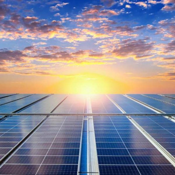 GLOBAL GARDEN SOLAR FOTOVOLTAICO #22