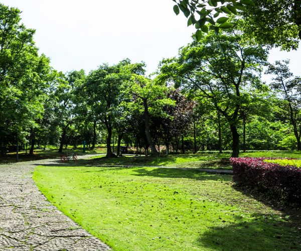 GLOBAL GARDEN_JARDINS#53_1024x1024
