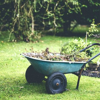 GLOBAL GARDEN_JARDINS#54_1024x1024