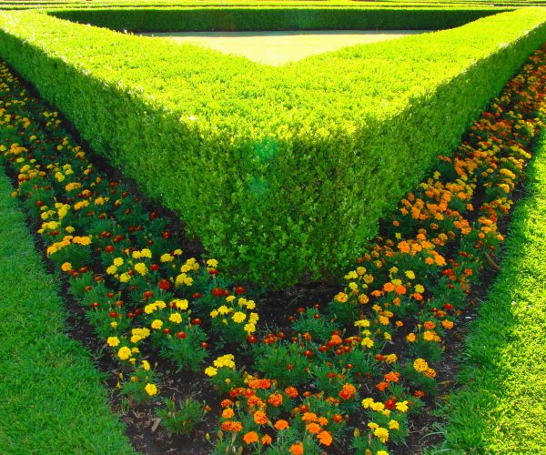 garden-1171472