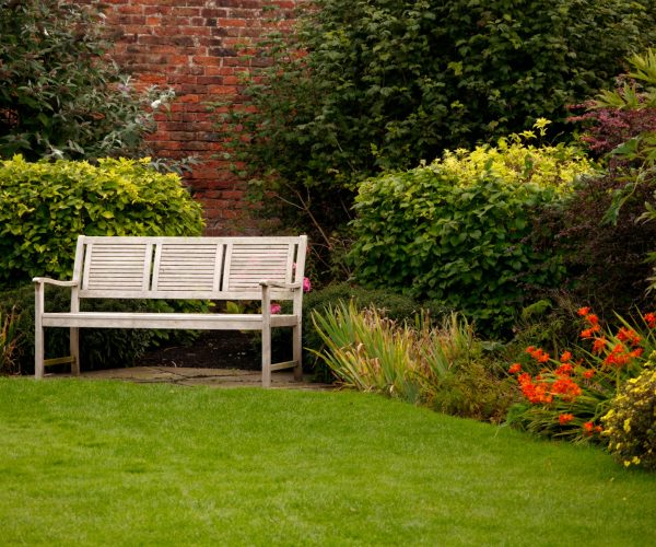 A shot of a white bench in a park